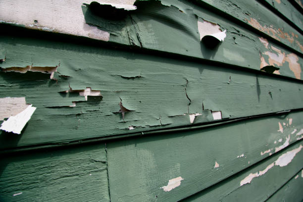 Best Storm Damage Siding Repair  in Arcade, GA